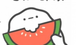 娱乐吃瓜酱最心酸的话,心酸独白，揭秘娱乐圈背后的辛酸泪