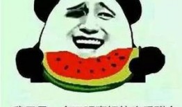 著名的娱乐吃瓜,吃瓜群众揭秘明星幕后故事