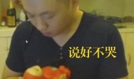 娱乐吃瓜酱最心酸的话,心酸独白，揭秘娱乐圈背后的辛酸泪