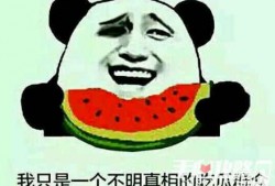娱乐吃瓜酱谐音梗是什么,揭秘谐音梗背后的趣味与智慧