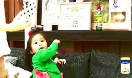 吃瓜娱乐小孩哥是谁,网络红人的崛起之路