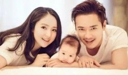 718娱乐事件吃瓜,揭秘娱乐圈背后的真相与风波