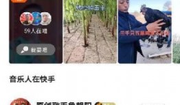 娱乐吃瓜视频背景纯音乐,娱乐吃瓜视频背景音乐赏析