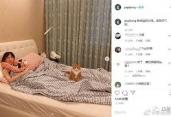 娱乐吃瓜酱怀孕,娱乐圈再掀怀孕热潮