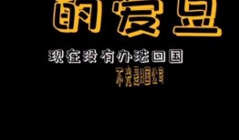 娱乐吃瓜口播文案简短