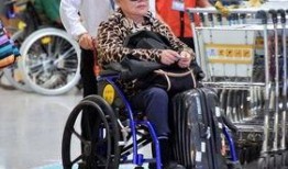 娱乐吃瓜君轮椅