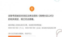 娱乐吃瓜张小寒视频全集,揭秘娱乐圈幕后故事