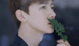 娱乐圈理性吃瓜白敬亭,娱乐圈理性吃瓜者的智慧与魅力