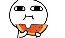 娱乐吃瓜酱语录大全集,笑料百出，揭秘娱乐圈幕后趣闻