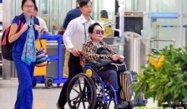 娱乐吃瓜君轮椅