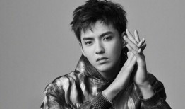 吃瓜娱乐圈男明星是谁啊