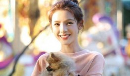 娱乐吃瓜小能手张予曦,娱乐吃瓜界的风云人物