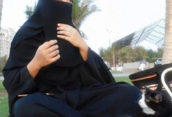 娱乐君吃瓜七七,揭秘娱乐圈背后的那些事儿