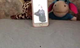 娱乐吃瓜Jerry,Jerry带你领略娱乐圈的趣味瞬间