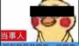 娱乐你我他吃瓜官网,揭秘吃瓜官网背后的精彩故事