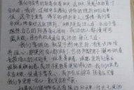 娱乐圈吃瓜作文800字