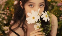 娱乐吃瓜欧阳娜娜小说,娱乐圈的甜蜜瓜田