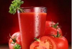 穿书去娱乐圈吃瓜番茄,番茄在娱乐圈的瓜田漫步