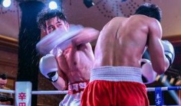 吃瓜娱乐拳击视频大全,吃瓜娱乐拳击视频大全精选集锦