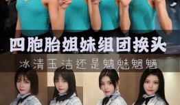 工科女勇闯娱乐圈吃瓜,勇闯“吃瓜”江湖的传奇之旅