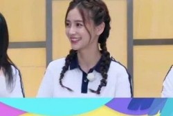 娱乐吃瓜协会会长,揭秘娱乐圈背后的秘密与真相