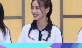 娱乐吃瓜协会会长,揭秘娱乐圈背后的秘密与真相